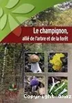 Le champignon, allié de l'arbre et de la forêt
