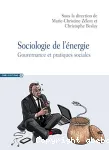 Sociologie de lénergie. Gouvernance et pratiques sociales