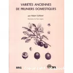 Variétés anciennes de pruniers domestiques : caractères distinctifs, description de 80 variétés