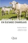 Anatomie d'une crise en élevage charolais