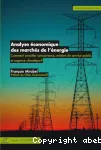 Analyse économique des marchés de l'énergie