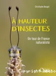 A hauteur d'insectes
