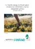 La Myrtille sauvage du Massif central : évolution de sa distribution avec les changements globaux