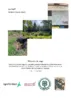 Création d’un outil de diagnostic automatisé permettant d’identifier les dysfonctionnements hydrologiques et les actions à mettre en place afin d’améliorer la gestion quantitative de la ressource en eau en contexte forestier face au changement climatique