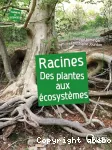 Racines