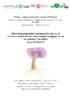 Effets de la préparation mécanisée du site sur la structure et diversité des communautés fongiques du sol en plantation forestière