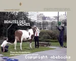 Beautés des vaches