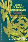 Seeds of forest broadleaves : from harvest to sowing