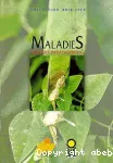 Maladies du pois protéagineux