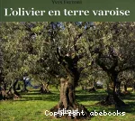 L'olivier en terre varoise