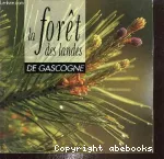 La forêt des landes de Gascogne