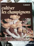 Comment cultiver les champignons