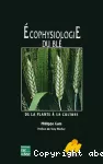 Ecophysiologie du blé