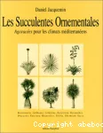 Succulentes ornementales