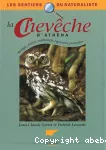 La chevêche d'Athéna