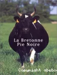 La bretonne pie noire