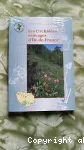 Les orchidées sauvages d'Ile-de-France