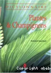 Plantes et champignons