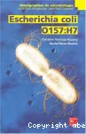 Escherichia coli O157:H7