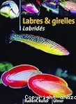 Labres et girelles, guide illustré des labridés