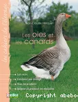 Les oies et les canards