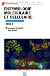 Enzymologie moléculaire et cellulaire