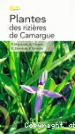 Plantes des rizières de Camargue