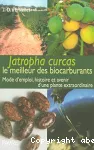 Jatropha curcas