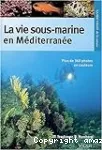 La vie sous-marine en Méditerranée