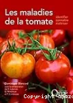 Les maladies de la tomate