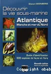 Découvrir la vie sous-marine