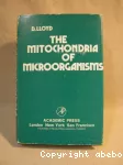 The mitochondria of microorganisms.