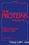 The proteins. Vol. 3.