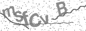 Image du CAPTCHA