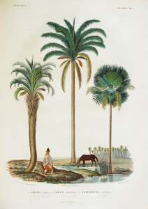 Voyage dans l'Amérique (..). 1847