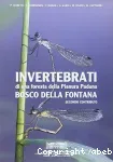 Invertebrati di una foresta della pianura padana bosco della fontana. Secundo contibuto.