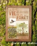 La vie illustrée de la forêt