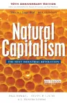 Natural capitalism : the next industrial revolution
