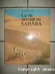 La vie sauvage au Sahara