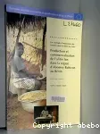 Production et commercialisation de l'afitin fon dans la région d'Abomey-Bohicon au Bénin. Un exemple d'intégration des femmes dans la filière du Néré