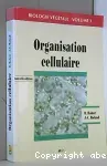 Organisation cellulaire
