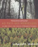 Au pays des merveilles : les plus beaux sites naturels d'Amazonie française