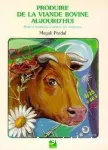 Produire de la viande bovine aujourd'hui