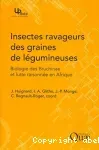 Insectes ravageurs des graines de légumineuses