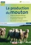 La production du mouton