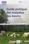 Guide pratique des maladies des bovins