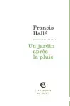 Un jardin après la pluie
