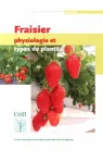 Fraisier