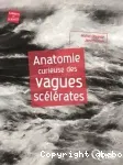 Anatomie curieuse des vagues scélérates
