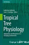 Tropical tree physiology